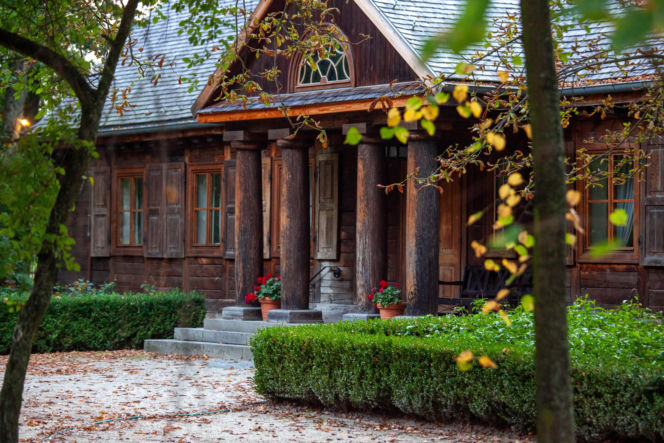 Pałac w Radziejowicach