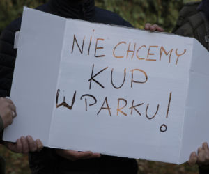 W Leśnicy grasuje szamboszajka