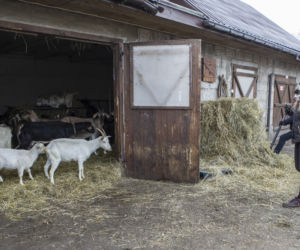 Emilia Korolczuk - gwiazda serialu Rolnicy. Podlasie