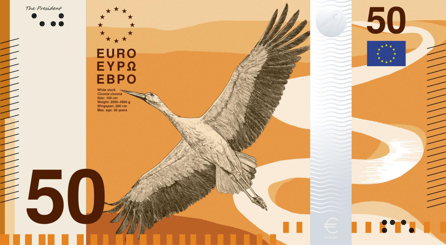 Maria Skłodowska-Curie i bociany na euro! Trwa głosowanie na nowe banknoty