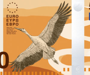 Maria Skłodowska-Curie i bociany na euro! Trwa głosowanie na nowe banknoty