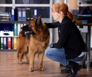 Komisarz Alex 7 sezon odc. 83 (odc. 5). Lucyna (Magdalena Walach)