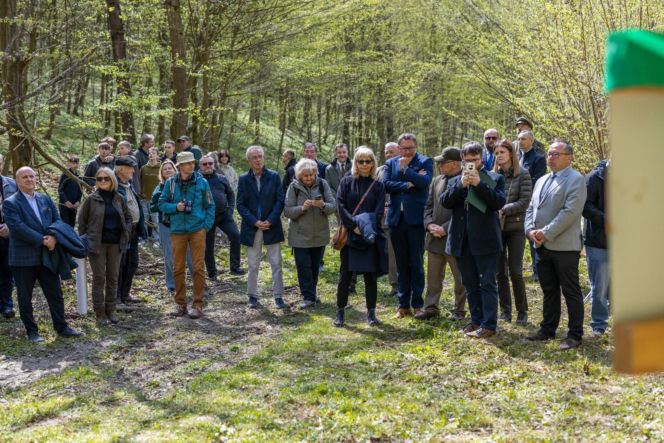 Nowe rezerwaty na terenie woj. lubelskiego