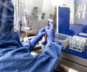 Tak pracuje laboratorium Invicta