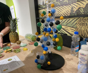 15. Noc Biologów w Olsztynie