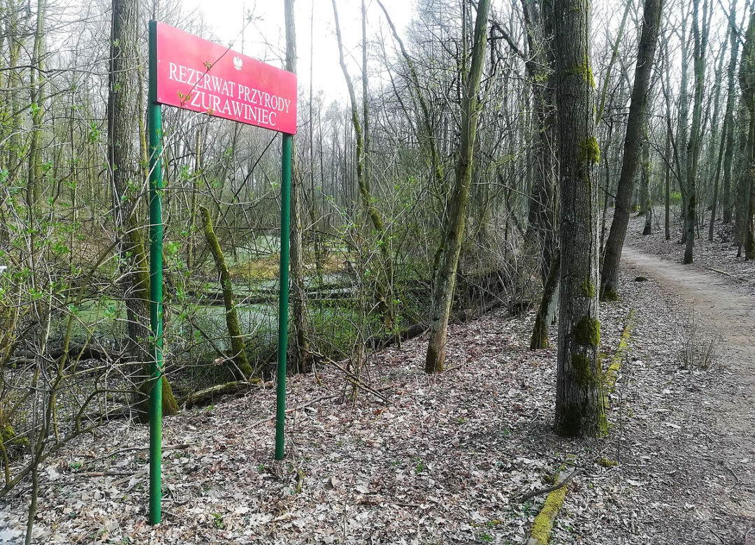 Żurawiniec