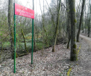 Żurawiniec