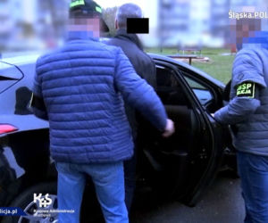 POTĘŻNA akcja policji! Mafia paliwowa została ZMIAŻDŻONA [ZDJĘCIA]