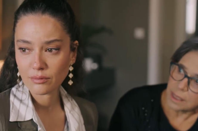 Złoty chłopak odc. 267