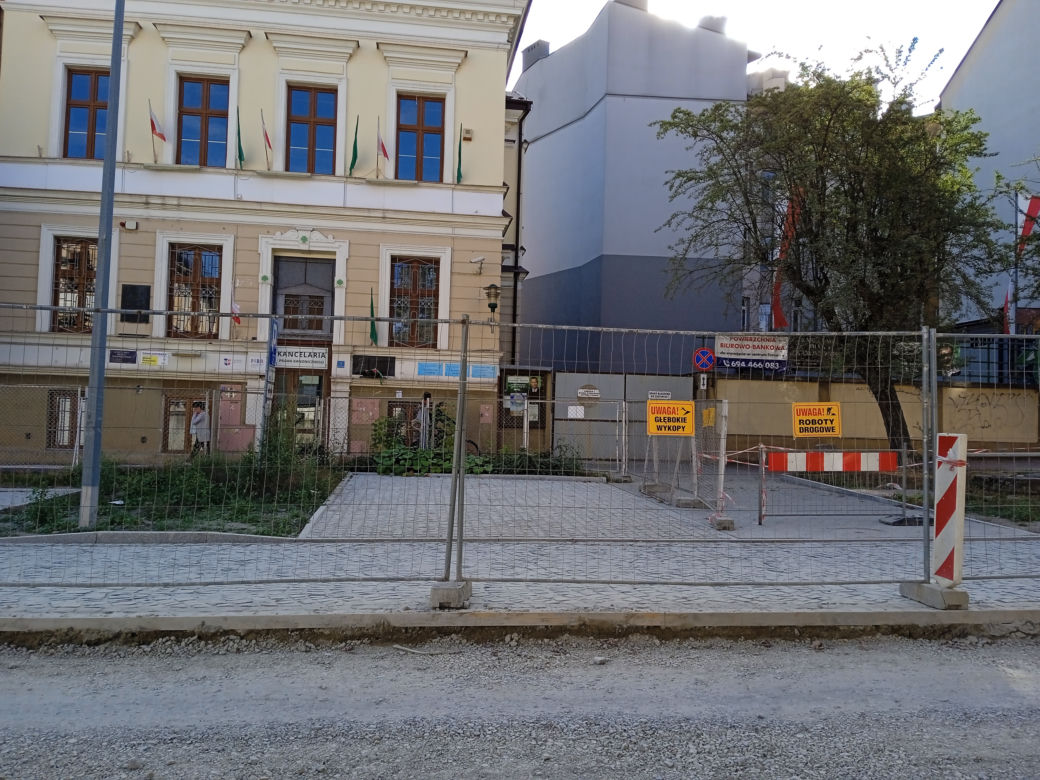 Nasadzenia drzew przy ulicy Piłsudskiego