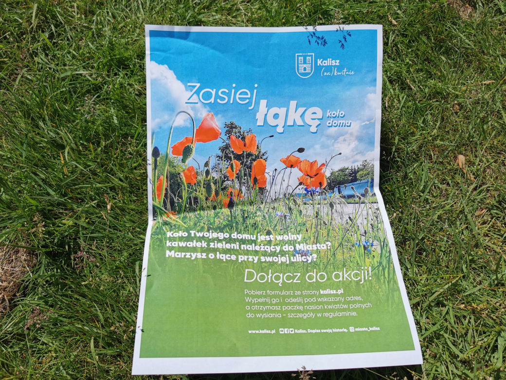 Kalisz (za)kwitnie!