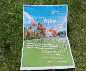 Kalisz (za)kwitnie!