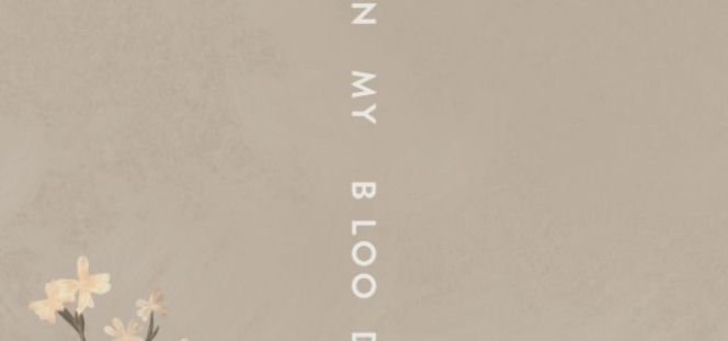 Nowości Muzyczne 2018: Shawn Mendes wrócił! In My Blood hitem wiosny 2018? 
