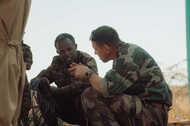 Afrykańscy żołnierze w europejskich armiach? Kontrowersyjny pomysł na rekrutację Afrykanów do wojsk UE