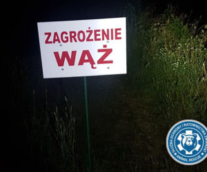 Nie uwierzysz, że to prawda! 10 sytuacji tak absurdalnych, że mogły wydarzyć się tylko w Warszawie! [GALERIA]