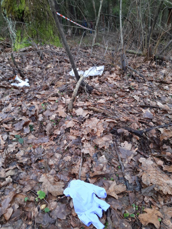 Dąbrowica. Ojciec i 3-letnia córka nie żyją. Zwłoki znaleziono w środku lasu