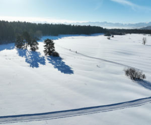 Odkryj przepiękne miasto w Polsce. Niedoceniane, a zapierające dech w piersiach. Odkryj Nowy Targ