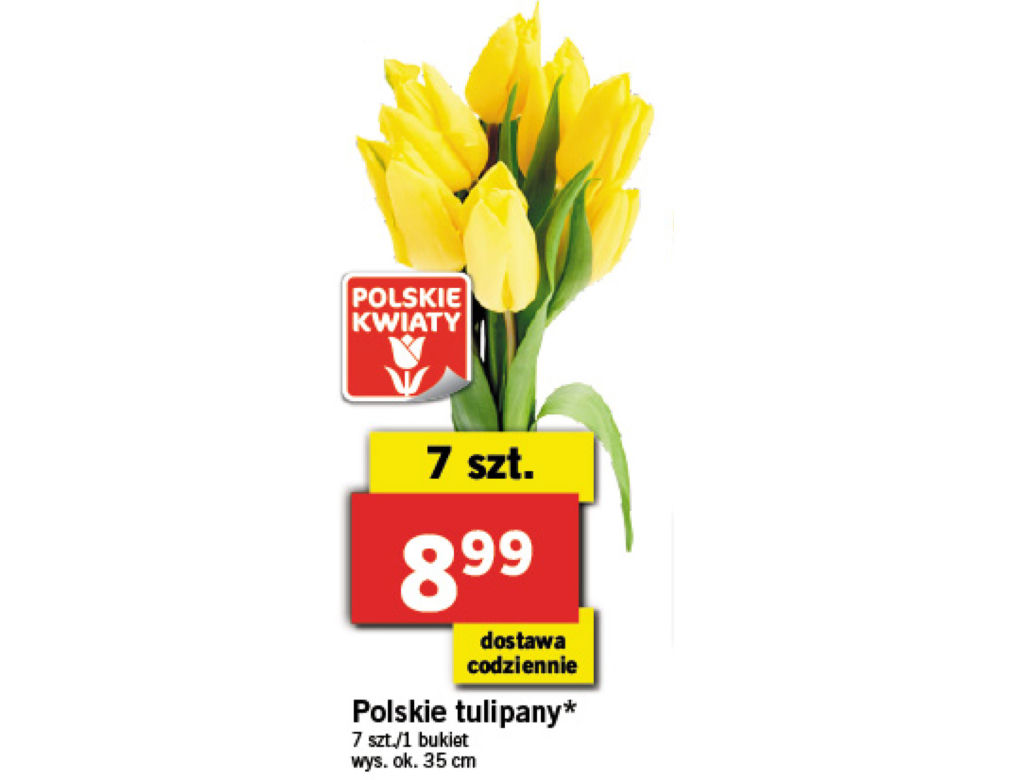 Wielkanocne promocje w Lidlu