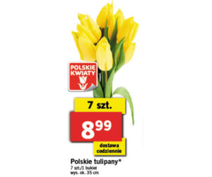 Wielkanocne promocje w Lidlu