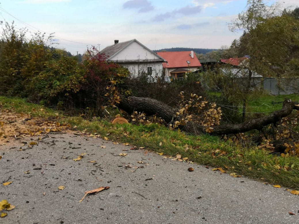 Leszczawa Górna. Drzewo padło na drogę