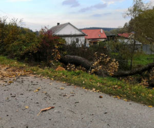 Leszczawa Górna. Drzewo padło na drogę