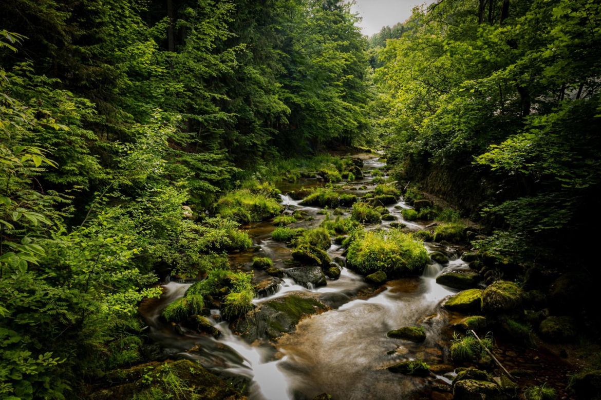 Uzdrowisko Cieplice