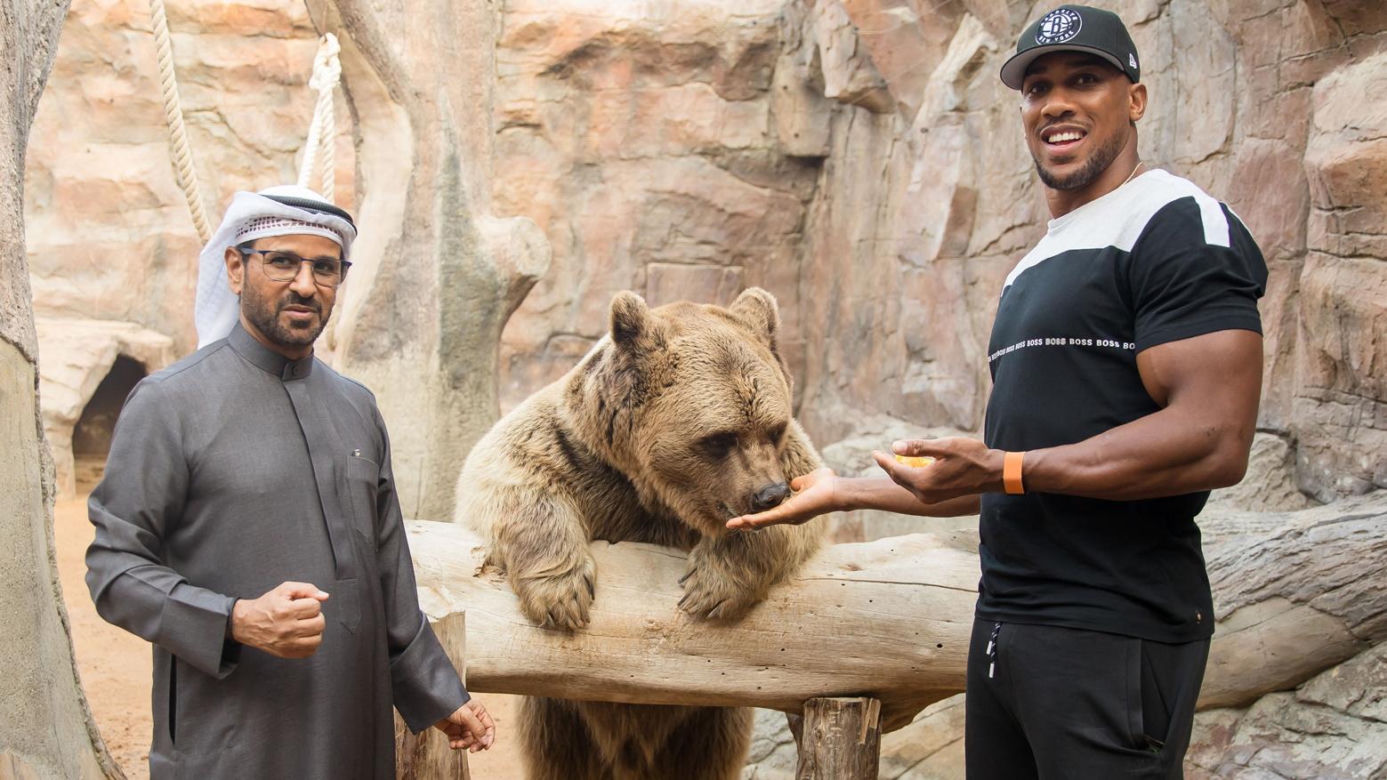 Anthony Joshua siłował się z prawdziwą bestią. Zwierzę, o którym mogliście nie mieć pojęcia