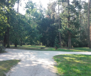 W tym miejscu powstanie nowy park