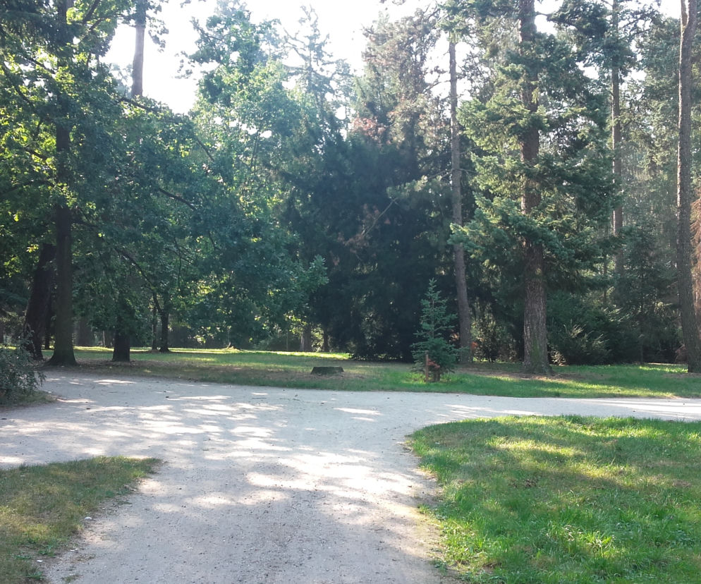 W tym miejscu powstanie nowy park