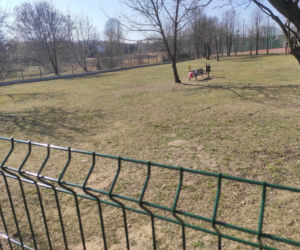 Wybieg dla psów na osiedlu Południe