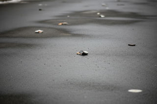 25-letni diler z Brzeskiej. Co krył śnieg na Pradze Północ?