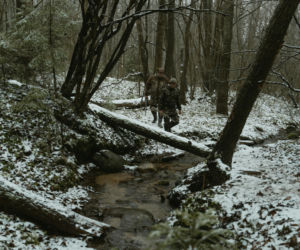 Myśliwi pod lupą. Polski Związek Łowiecki wprowadza twarde zasady: albo szkolenie, albo koniec z polowaniem 