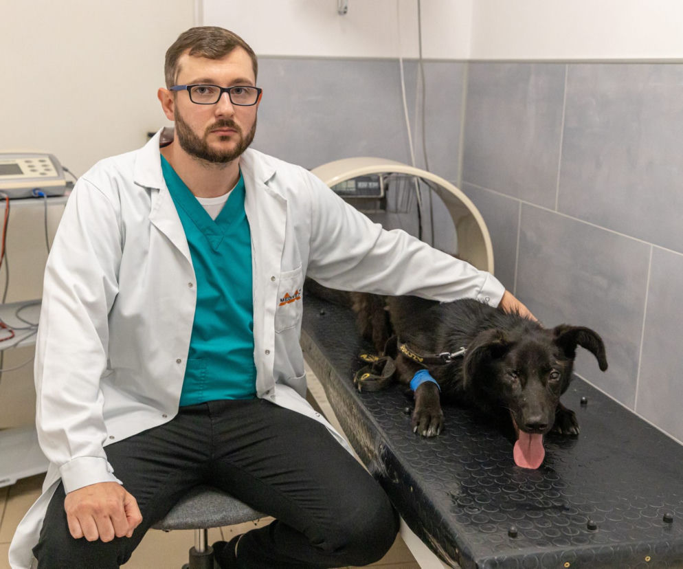 Pies walczy o życie po postrzeleniu 
