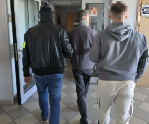 Wandal w rękach policji