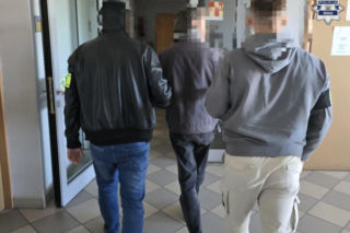 Wandal w rękach policji