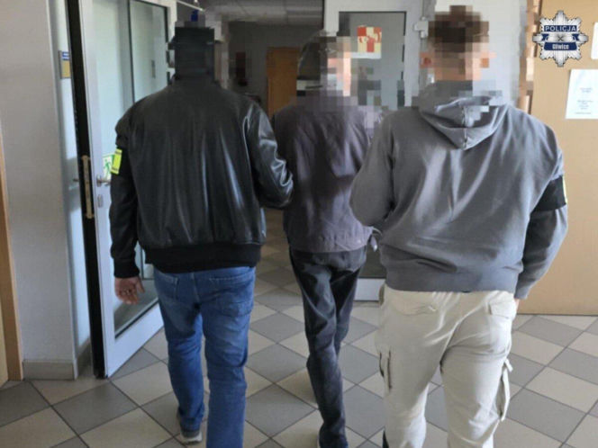 Wandal w rękach policji