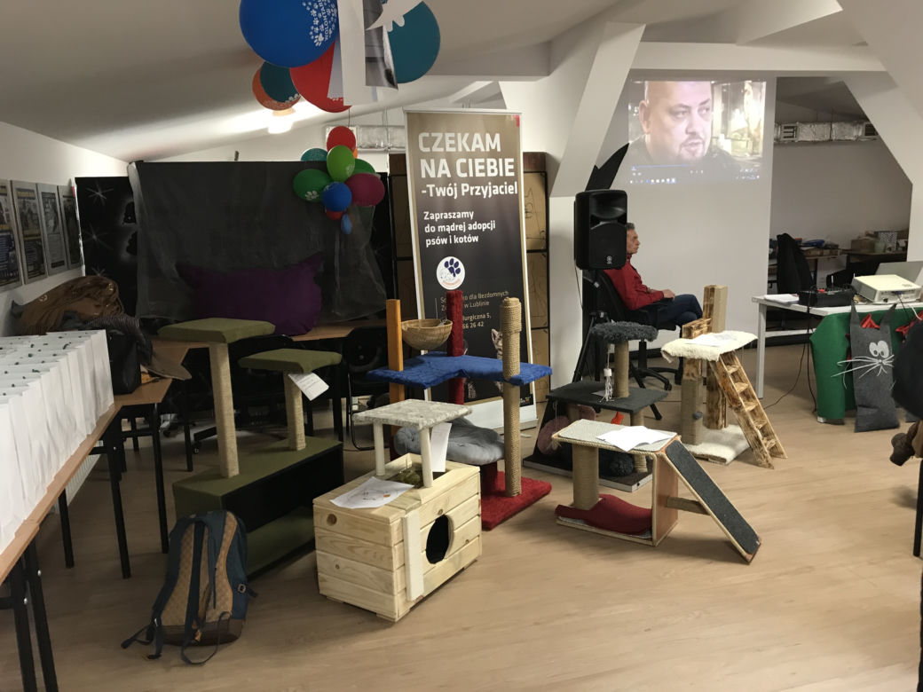 Dzień otwarty w lubelskim schronisku