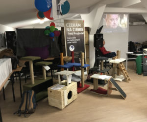 Dzień otwarty w lubelskim schronisku