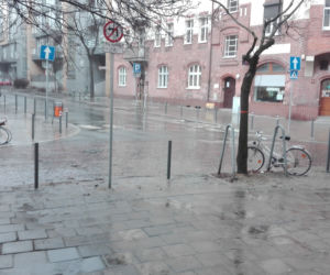Na poznańskiej Wildzie na miejscach postojowych stoją słupki! Mieszkańcy są oburzeni, bo nie mają gdzie parkować!