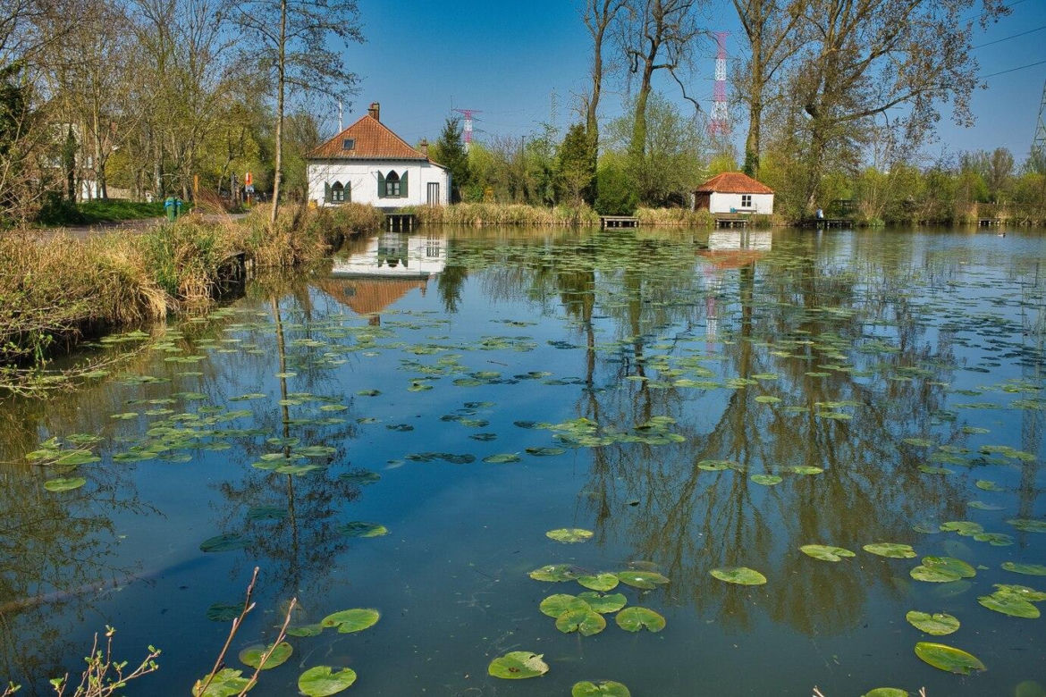 Rzeka Narew na Podlasiu