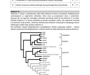 Matura 2021: Biologia. Arkusze CKE z biologii znajdziesz tutaj [Matura 12.05.2021]