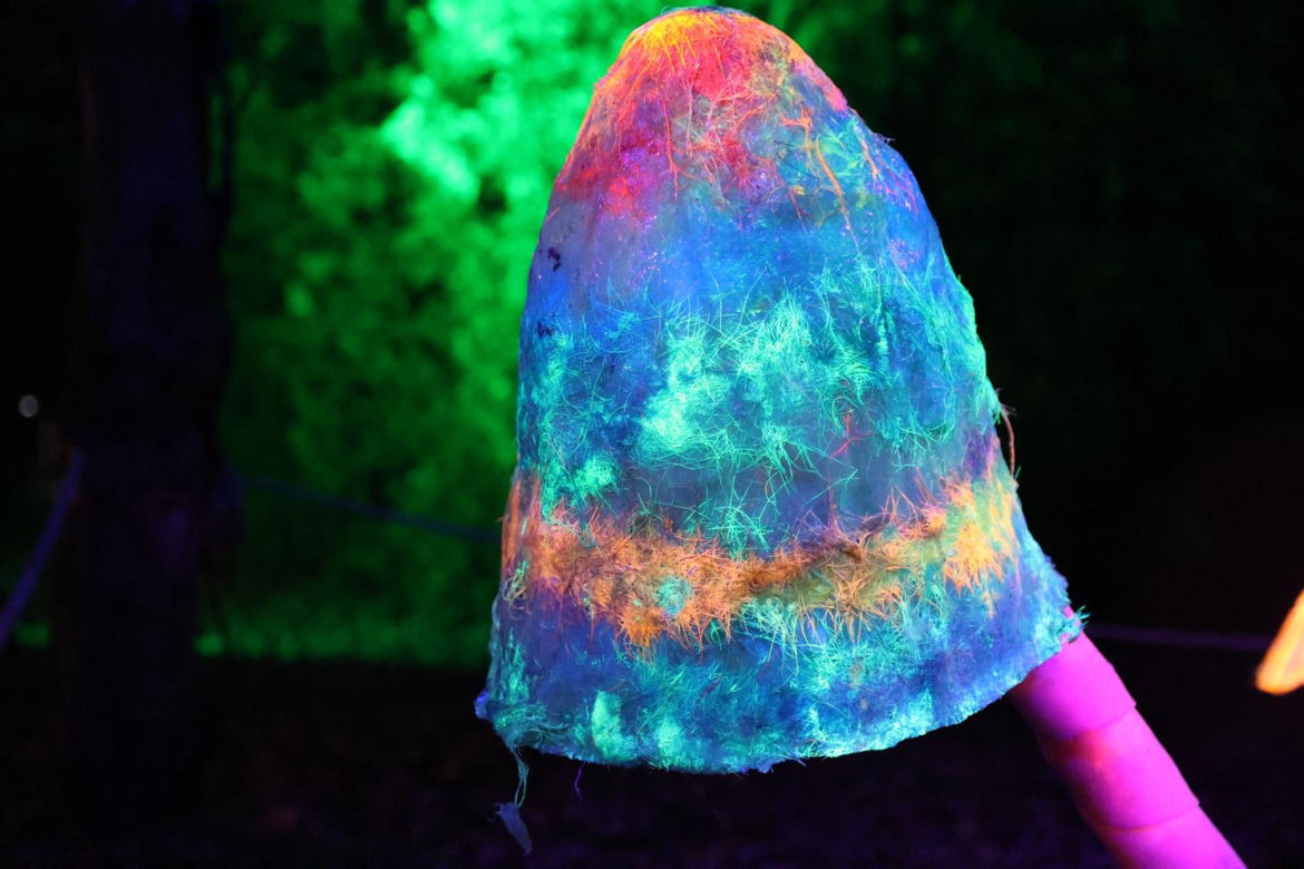 Park iluminacji 2023 w Lublinie