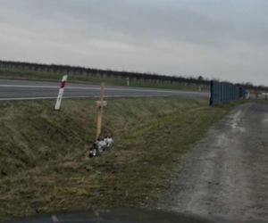 Opole Lubelskie. Tragiczny wypadek. 34-latek zginął podczas wyprzedzania