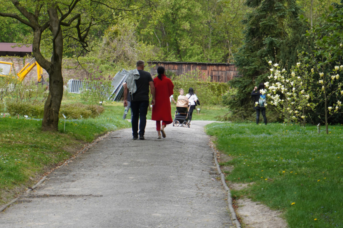Ogród Botaniczny w Lublinie