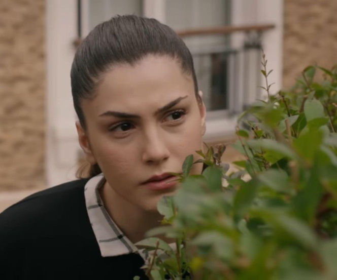 Dramatyczne wydarzenia w 329. odcinku "Wichrowego wzgórza". Zeynep wpada w ręce porywaczy!