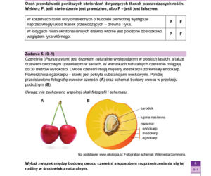 Próbna matura 2026 biologia. WSZYSTKIE arkusze CKE i odpowiedzi 14.01.