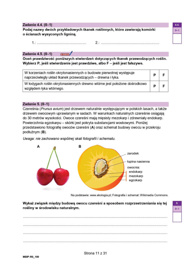Próbna matura 2026 biologia. WSZYSTKIE arkusze CKE i odpowiedzi 14.01.