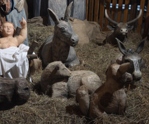 Świąteczna tradycja na Starym Rynku. Szopka bożonarodzeniowa zachwyca wszystkich!