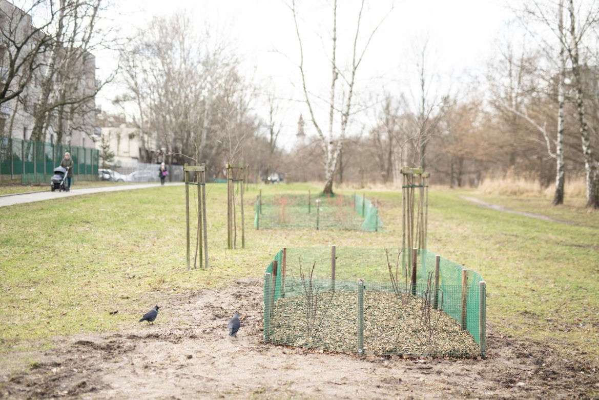 Zmiany w łódzkich parkach. Ujawniono także plany na przyszły rok