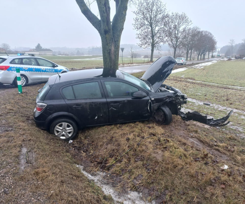 Zdarzenie drogowe na DK 19 w Świniarowie pod Łosicami